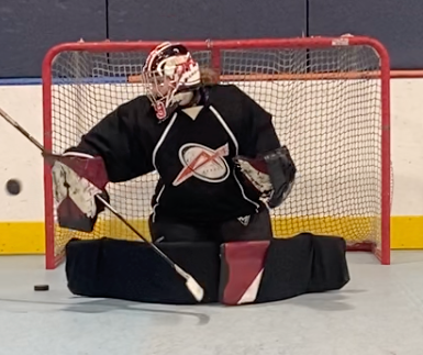 Synthetic Ice Goalie Training Multipack